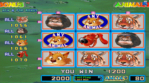 Animal Bonus (Version 1.8E Dual) Screenshot 1